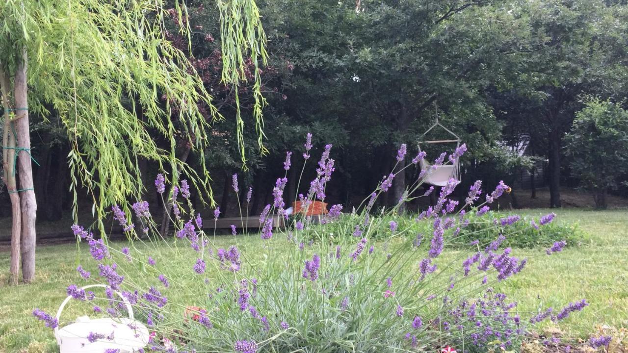 Vieniacasaccadia Bed and Breakfast Εξωτερικό φωτογραφία