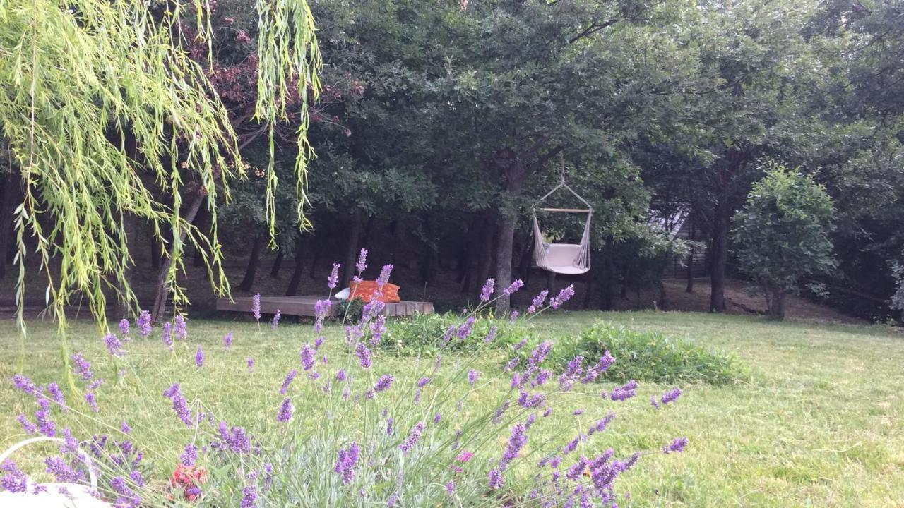Vieniacasaccadia Bed and Breakfast Εξωτερικό φωτογραφία