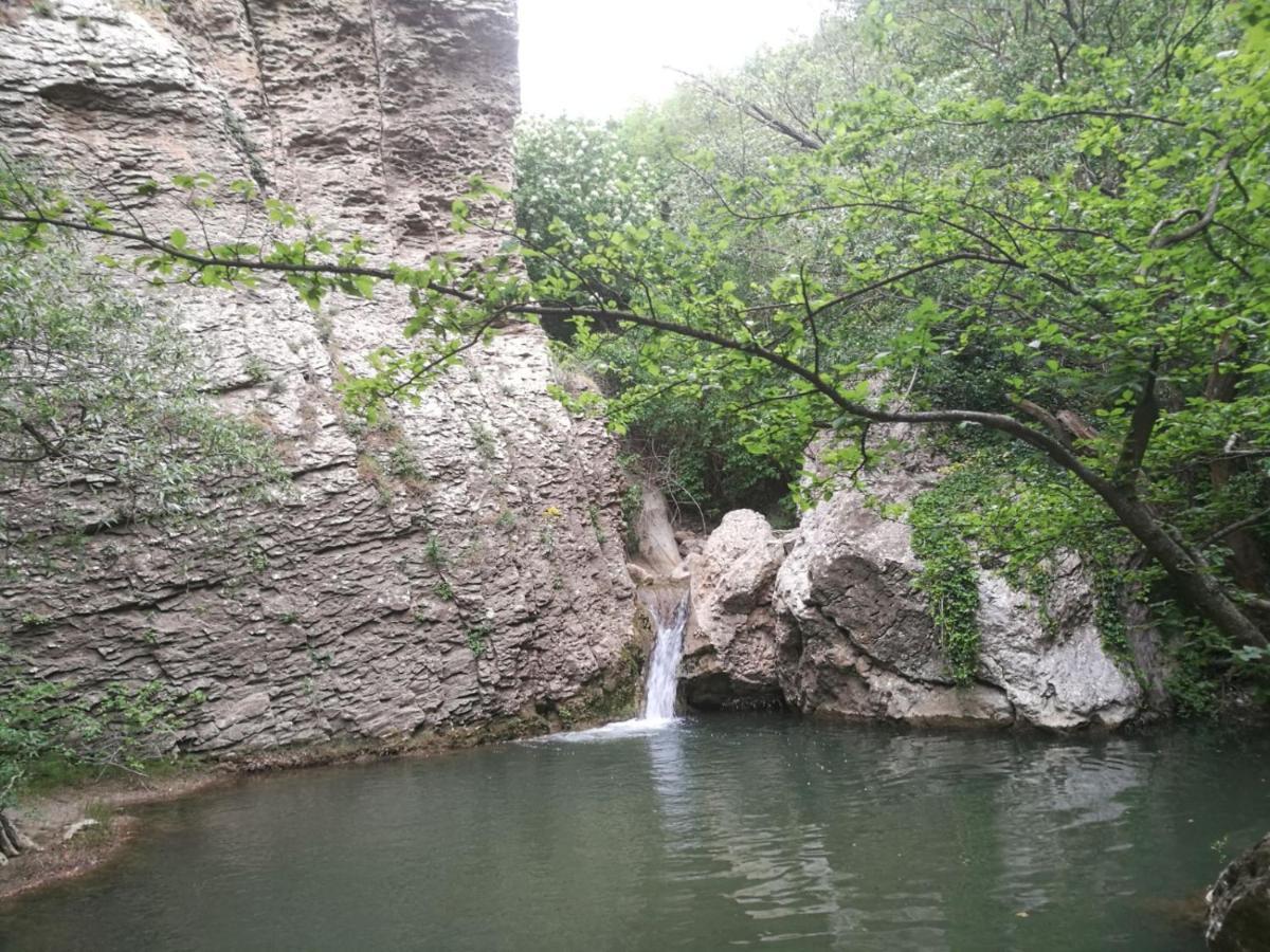 Vieniacasaccadia Bed and Breakfast Εξωτερικό φωτογραφία