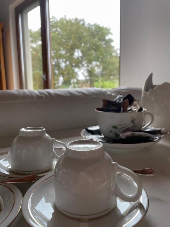 Vieniacasaccadia Bed and Breakfast Εξωτερικό φωτογραφία