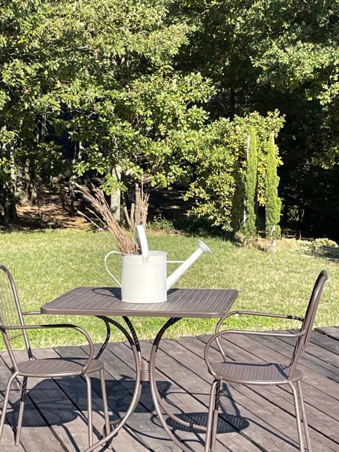Vieniacasaccadia Bed and Breakfast Εξωτερικό φωτογραφία