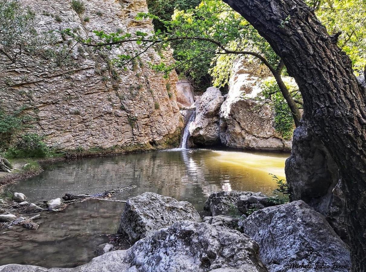 Vieniacasaccadia Bed and Breakfast Εξωτερικό φωτογραφία