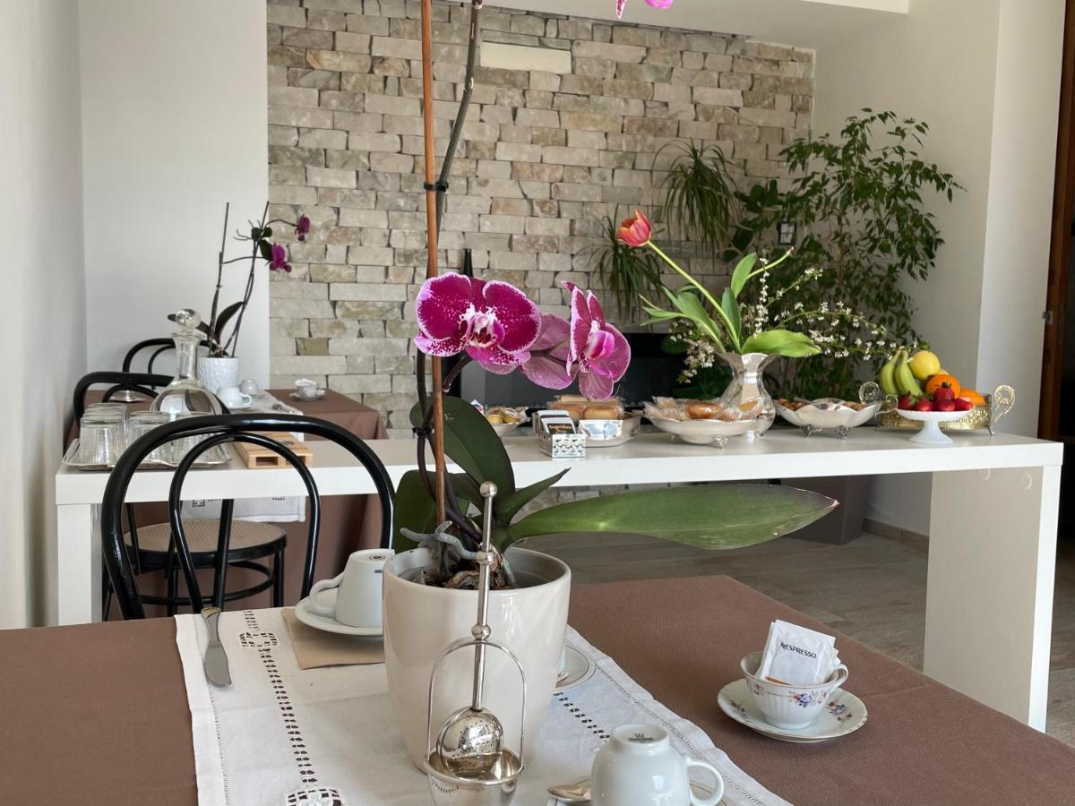 Vieniacasaccadia Bed and Breakfast Εξωτερικό φωτογραφία